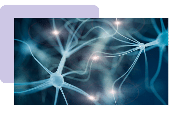 Illustrazione dei percorsi neurali creati dalla visualizzazione